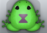 Emerald Pruni Viduo Frog from Pocket Frogs