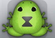 Green Picea Viduo Frog from Pocket Frogs
