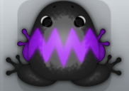 Black Viola Volta Frog from Pocket Frogs