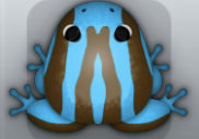 Azure Bruna Zebrae Frog from Pocket Frogs