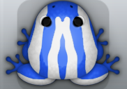 Blue Albeo Zebrae Frog from Pocket Frogs