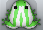 Emerald Albeo Zebrae Frog from Pocket Frogs