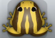 Golden Bruna Zebrae Frog from Pocket Frogs