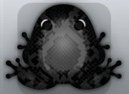 Black Picea Serpentis Frog from Pocket Frogs