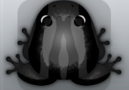 Black Picea Zebrae Frog from Pocket Frogs