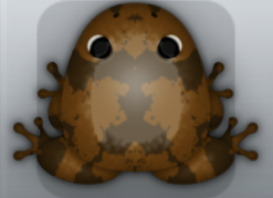Cocos Cafea Crustalli Frog from Pocket Frogs