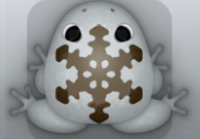 Glass Cafea Glacio Frog from Pocket Frogs