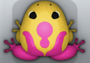 Golden Floris Vinaceus Frog from Pocket Frogs