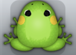 Green Chroma Anura Frog from Pocket Frogs