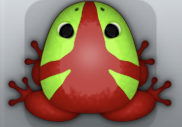 Maroon Folium Tribus Frog from Pocket Frogs