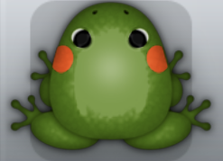 Olive Carota Anura Frog from Pocket Frogs