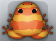 Orange Carota Partiri Frog from Pocket Frogs