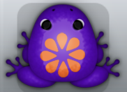 Purple Chroma Floresco Frog from Pocket Frogs