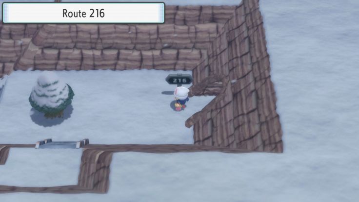 After you make your way through the underground paths of Mount Coronet, you reach the snowy Route 216.