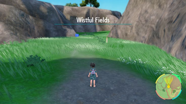 On your way to the final signboard, you can go through the Wistful Fields.