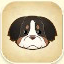 Bernese Mountain Dog from Story of Seasons: Pioneers of Olive Town
