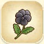 Black Pansy from Story of Seasons: Pioneers of Olive Town
