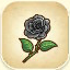 Black Rose from Story of Seasons: Pioneers of Olive Town