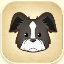 Border Collie from Story of Seasons: Pioneers of Olive Town
