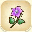 Campanula from Story of Seasons: Pioneers of Olive Town