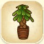 Money Tree from Story of Seasons: Pioneers of Olive Town
