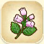 Pink Cat Flower from Story of Seasons: Pioneers of Olive Town