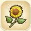 Sunflower from Story of Seasons: Pioneers of Olive Town