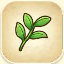 Tea Leaves from Story of Seasons: Pioneers of Olive Town