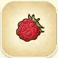 Wild Berry from Story of Seasons: Pioneers of Olive Town