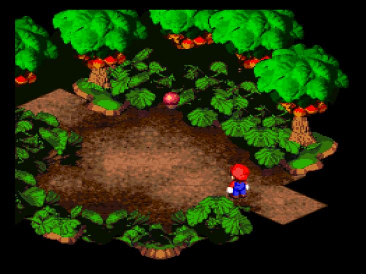 After you meet Gaz in Rose Town and hear rumors that Geno went into the Forest Maze, you go to investigate.