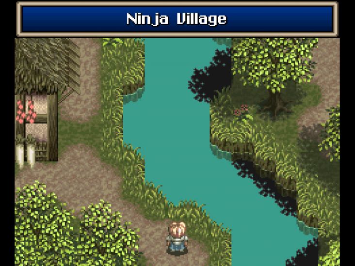 After you learn of the Ninja Village from someone in the Ary pub, you make your way there.
