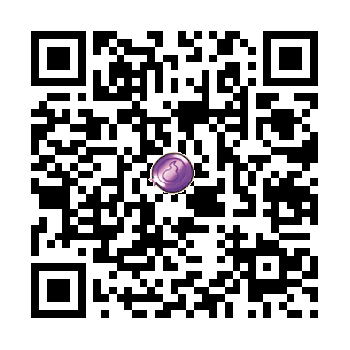 Purple Coin 1141