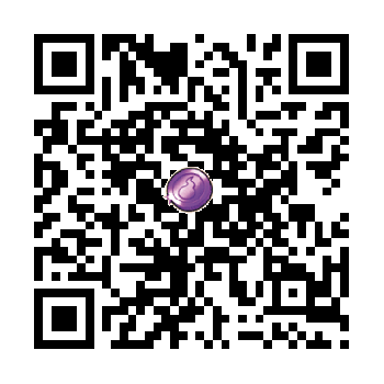 Purple Coin 737