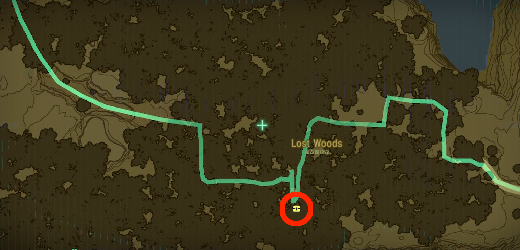 The location of the Korok Mask in the Lost Woods in Breath of the Wild