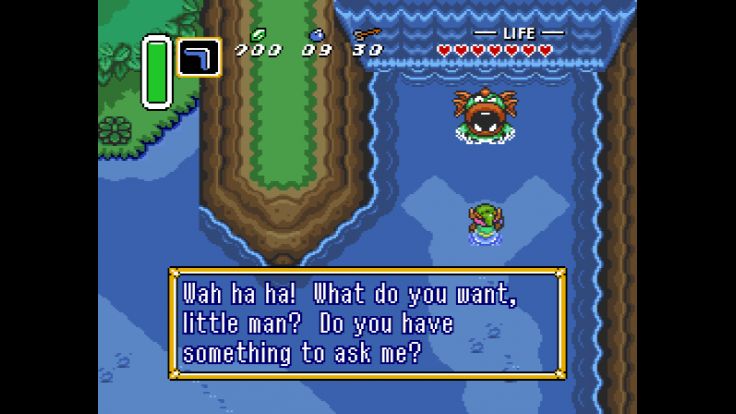 Link goes to northeast Hyrule and meets the King of the Zoras, who asks if he has a question.