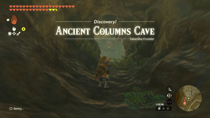 Ancient Columns Cave is hidden within the Ancient Columns west of Tabantha Bridge Stable.