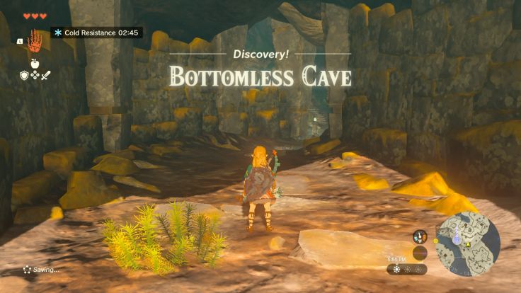 After you emerge from the Pit Cave and explore Great Sky Island further, you discover Bottomless Cave.