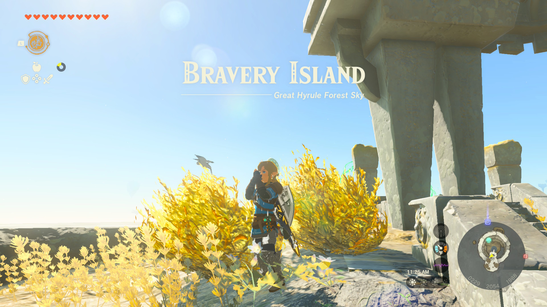 Bravery Island is in the North Hyrule Sky Archipelago and is home to Simosiwak Shrine. Bravery Island is in the North Hyrule Sky Archipelago and is home to Simosiwak Shrine.