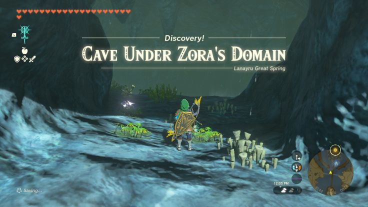 The Cave Under Zora's Domain can be reached by going through the waterfall at the southwest side of Zora's Domain.