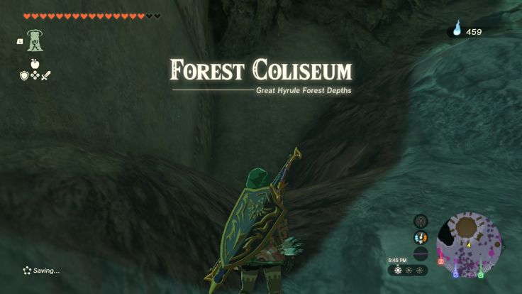 The Forest Coliseum is in the area of the Depths beneath the Korok Forest on the surface.