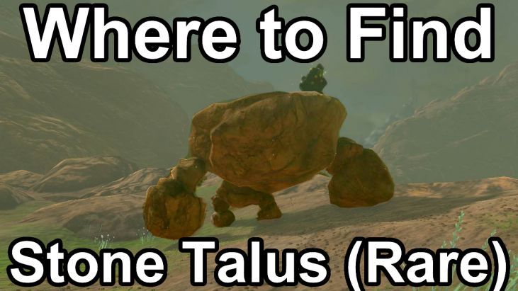 A list of all 14 Rare Stone Tali in The Legend of Zelda: Tears of the Kingdom.