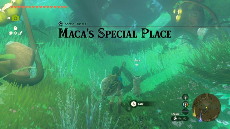 Maca in Korok Forest tells you of a special place where he likes to look at the sky islands, but you can't reach it from the forest.