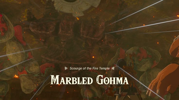 After you open the gate in the Fire Temple, you break the rocks in the ceiling and reveal Marbled Gohma.