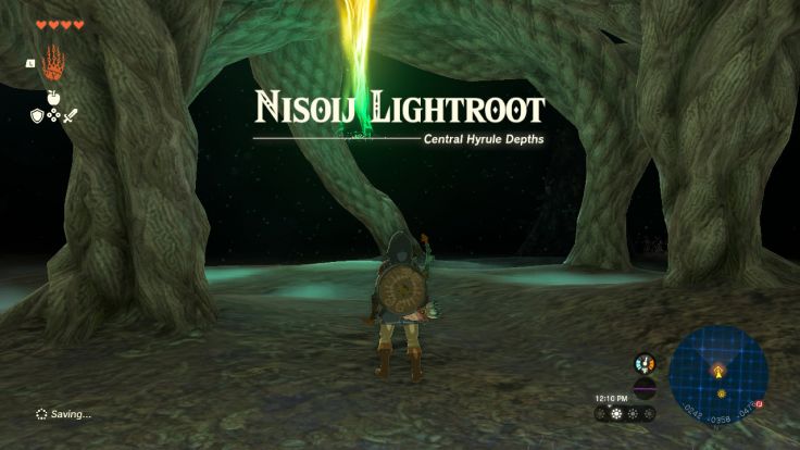 Nisoij Lightroot is found near where Hyrule Field Chasm enters the Depths.