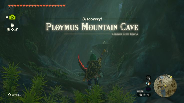 Ploymus Mountain Cave is east of Zora's Domain, southeast of Mikau Lake.