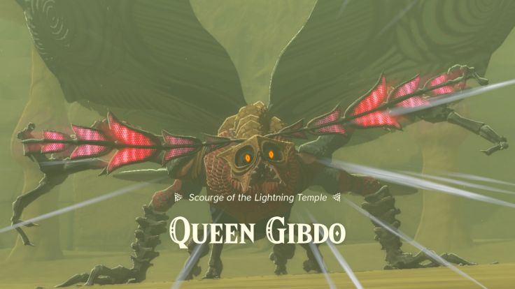 When you open the door of the Lightning Temple, Queen Gibdo attacks.