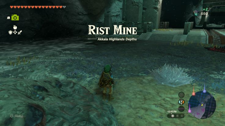 Rist Mine is an abandoned mine in the Akkala Highland Depths.