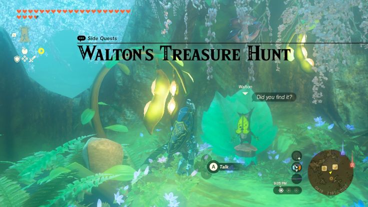 Walton has hidden some Forest Dweller weapons on the Great Deku Tree and challenges you to find them.