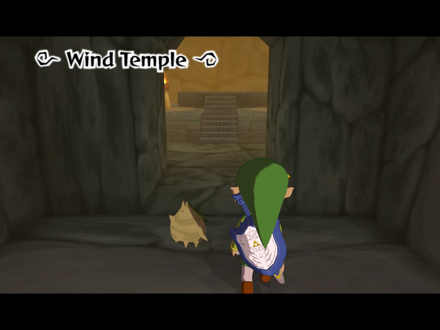 After playing the Wind God's Aria and awakening the new Wind Sage, the two of them go to the Wind Temple. After playing the Wind God's Aria and awakening the new Wind Sage, the two of them go to the Wind Temple.